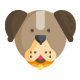Dog Products