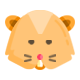 Cat Products
