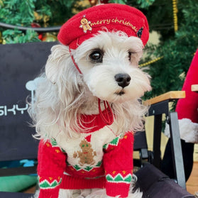 Pull pour chien en laine style Noël