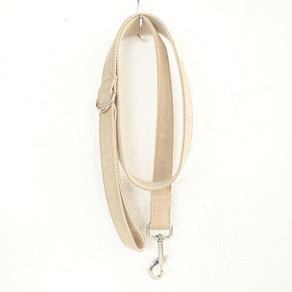 leash