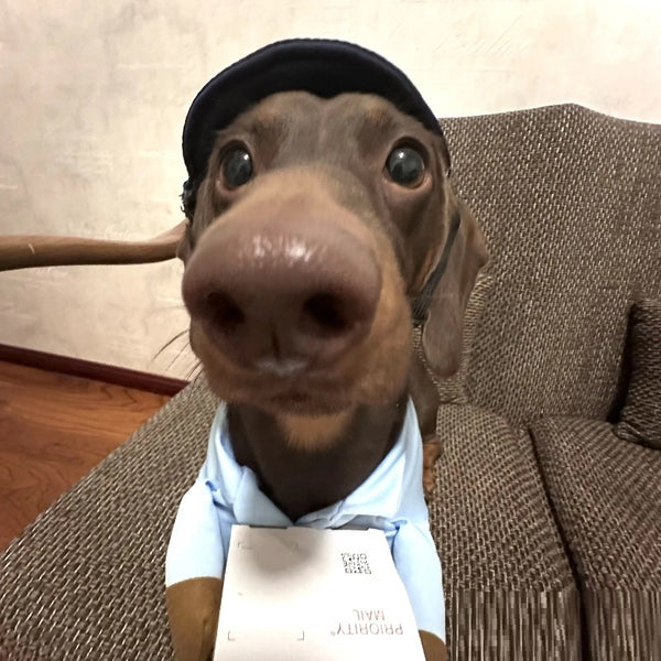 handling-with-hat-included