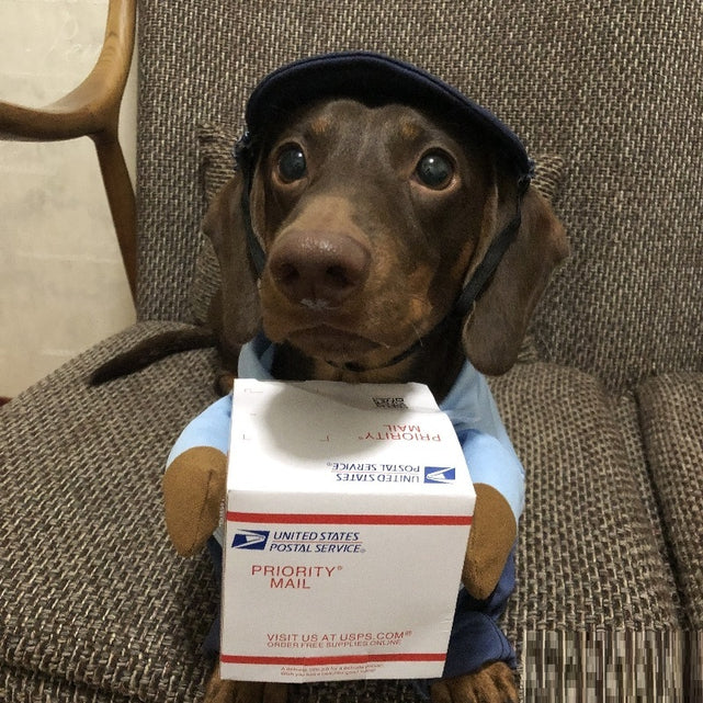 Dog Express Pet Costume Small Dog Halloween Clothing