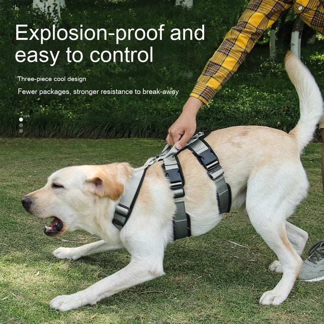 Chest And Back Pet Supplies Medium And Large Corgi Special Dog Leash